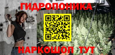 крисы Волжск
