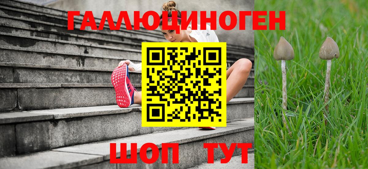 Белгород  Псилоцибиновые грибы MAGIC MUSHROOMS  Вход с VPN 