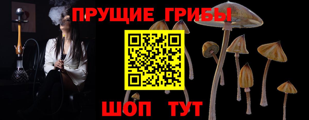 Псилоцибиновые грибы мицелий Белгород